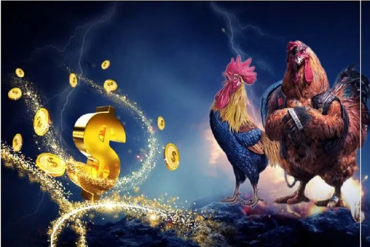 Khám Phá Thế Giới Đá Gà PG88: Cuộc Chơi Đầy Kịch Tính 2 Khám Phá Thế Giới Đá Gà PG88: Cuộc Chơi Đầy Kịch Tính